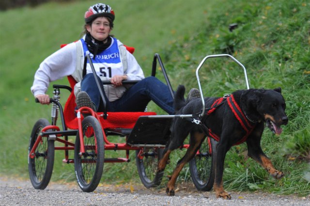 Rennen Weinfelden